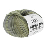 Lang Yarns Merino 200 Bébé Color Yarn, 203m / 50g – Ivy (0393)