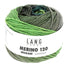 Lang Yarns Merino 120 Dégradé – 50g / 120m – Green (0002)