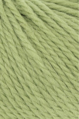 Lang Yarns Carpe Diem – 50g / 90m – Matcha (0216) – detail