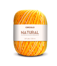 Círculo Barroco Multicolor Premium 4/6 – Fil de coton brésilien (226m / 200g)